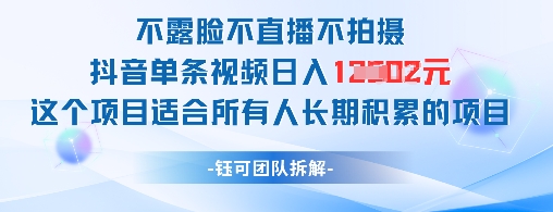 不露脸不直播不拍摄抖音单条视频日入1k+这个项目适合所有人长期积累的项目竹川轻创网-专注分享网络创业项目落地实操课程 – 全网首发_高质量创业项目输出竹川轻创网