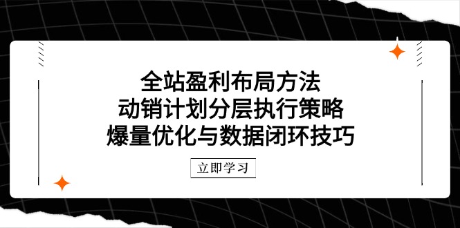 全站盈利布局方法：动销计划分层执行策略，爆量优化与数据闭环技巧竹川轻创网-专注分享网络创业项目落地实操课程 – 全网首发_高质量创业项目输出竹川轻创网