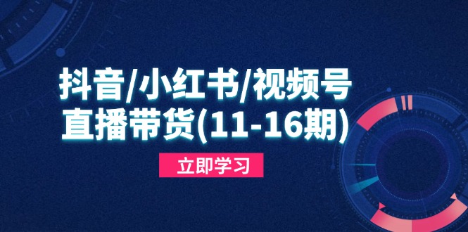 抖音/小红书/视频号/直播带货(11-16期竹川轻创网-专注分享网络创业项目落地实操课程 – 全网首发_高质量创业项目输出竹川轻创网