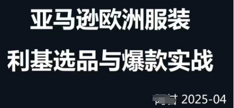 跨境电商选品案例24-25年，聚焦跨境电商选品策略与运营优化，助力卖家挖掘蓝海市场竹川轻创网-专注分享网络创业项目落地实操课程 – 全网首发_高质量创业项目输出竹川轻创网